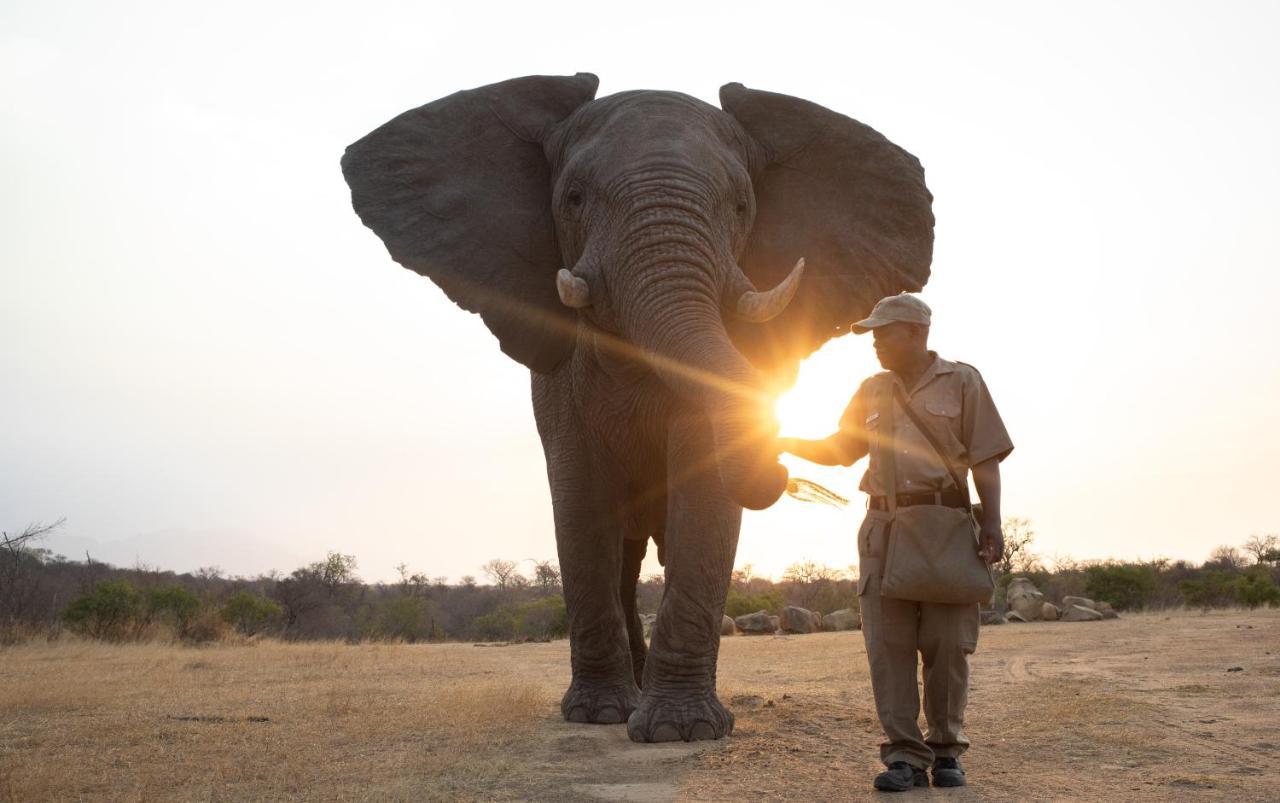 Вілла Jabulani Safari Kapama Game Reserve Екстер'єр фото