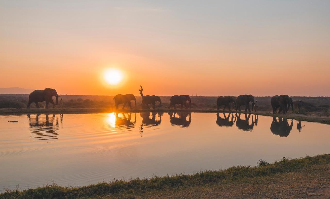 Вілла Jabulani Safari Kapama Game Reserve Екстер'єр фото