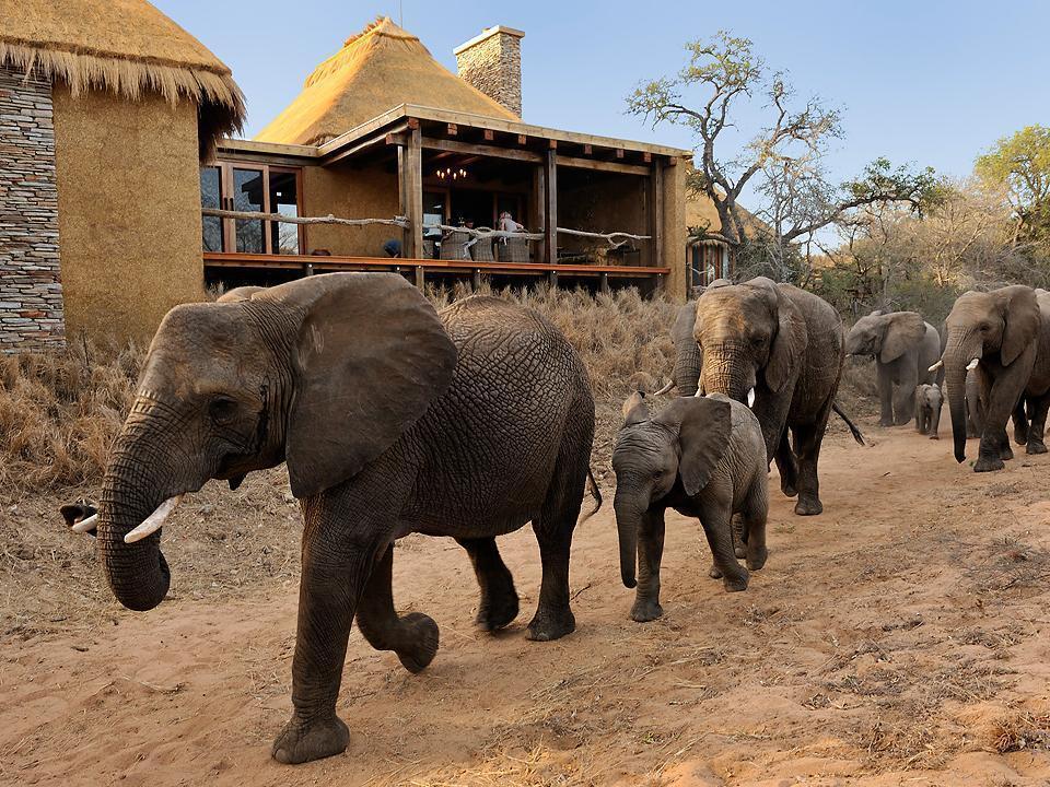 Вілла Jabulani Safari Kapama Game Reserve Екстер'єр фото