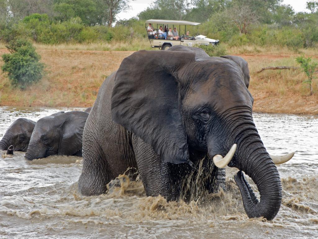 Вілла Jabulani Safari Kapama Game Reserve Екстер'єр фото